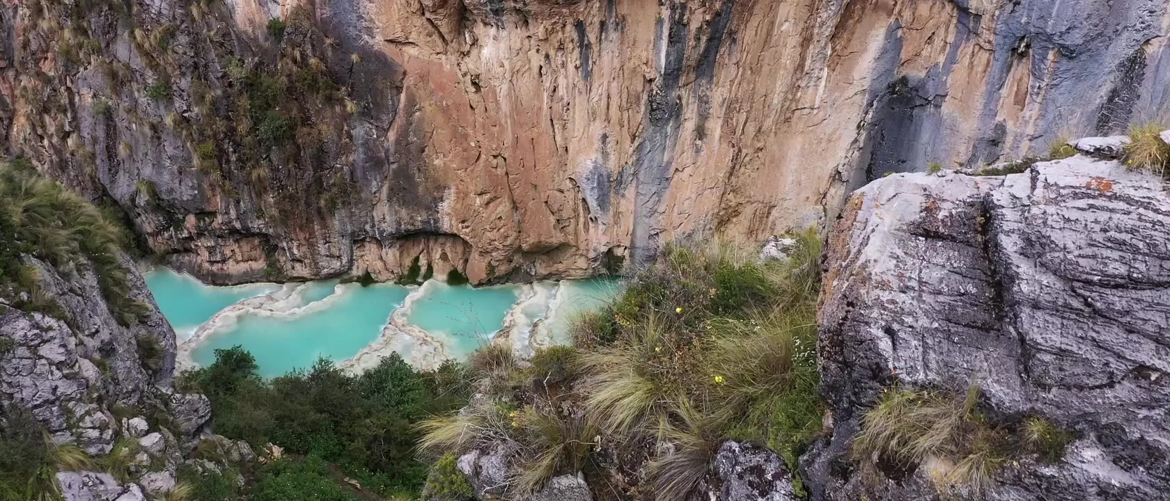 Café de especialidad: paisaje documental de referencia
