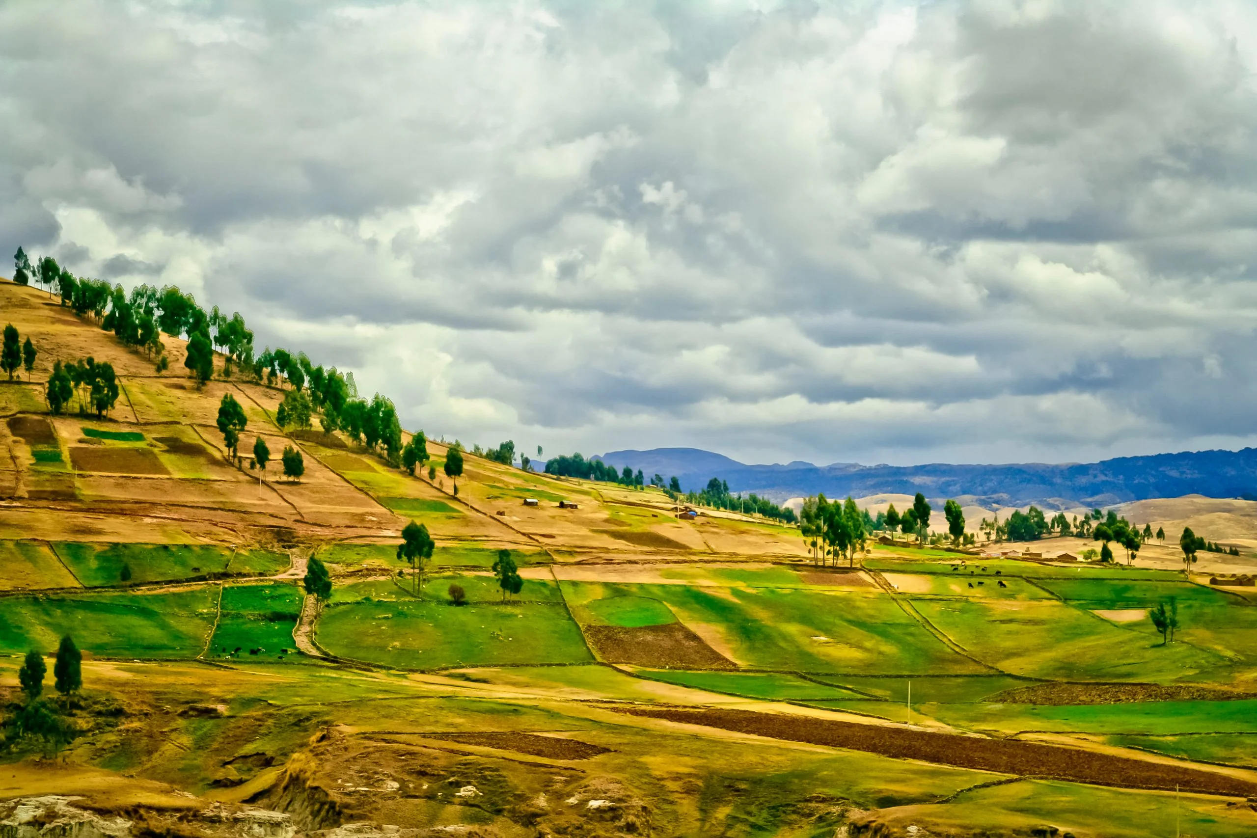 Miel y floración: paisaje documental de referencia