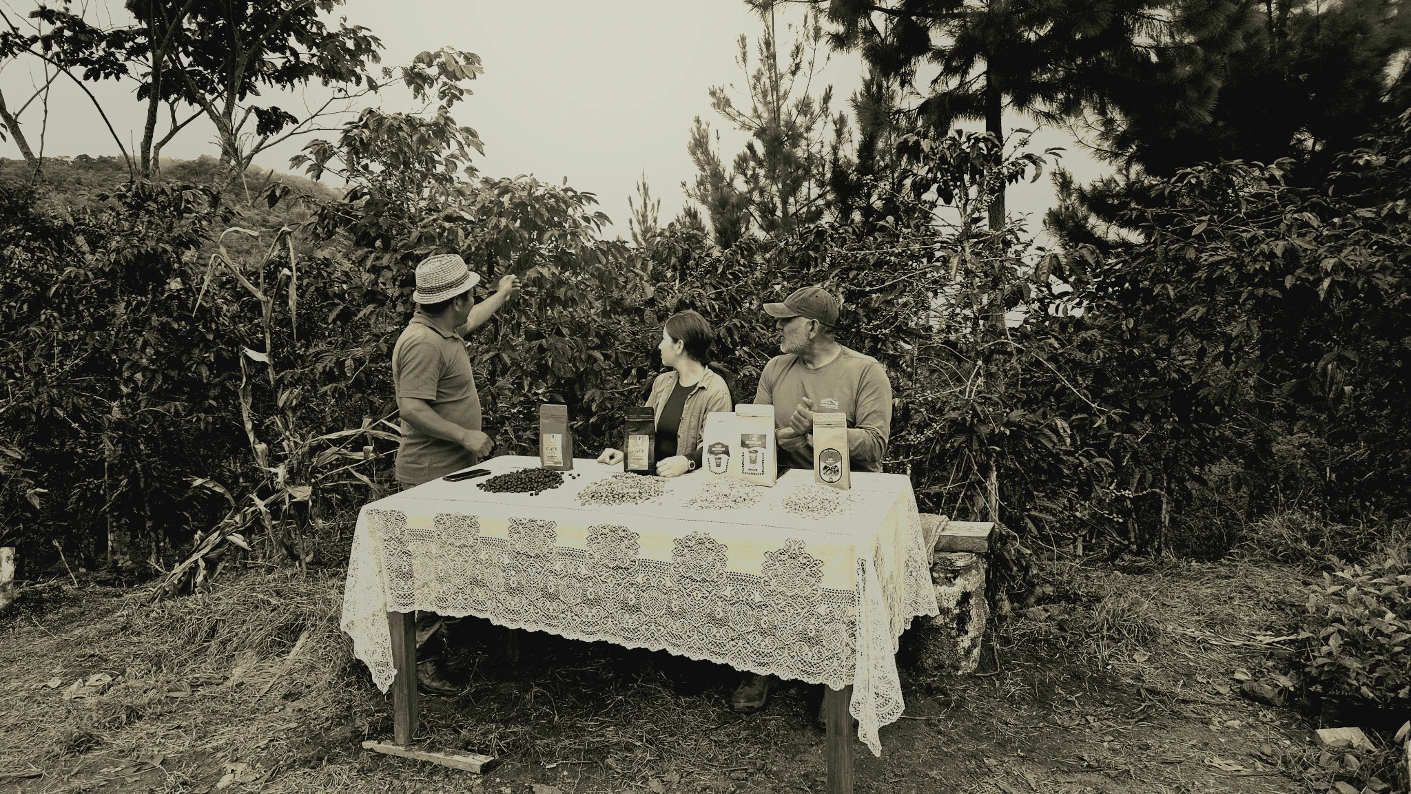 Pedro Ñahui Atao junto a Lized Huamán Ramírez y Francisco Arica Cruz durante un encuentro en una zona de cultivo de café